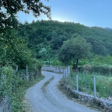 Farm